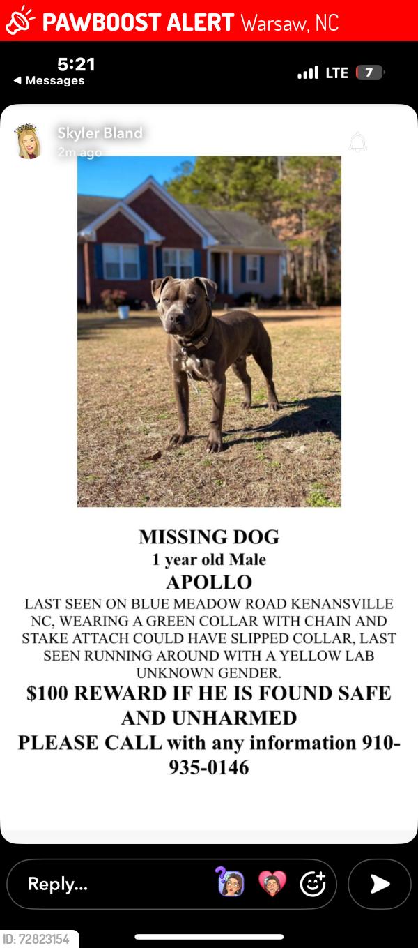 Lost Male Dog last seen Warsaw nc , Warsaw, NC 28398