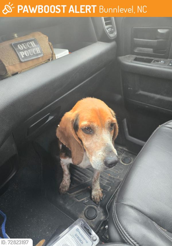Found/Stray Male Dog last seen Brock and Walker , Bunnlevel, NC 28323