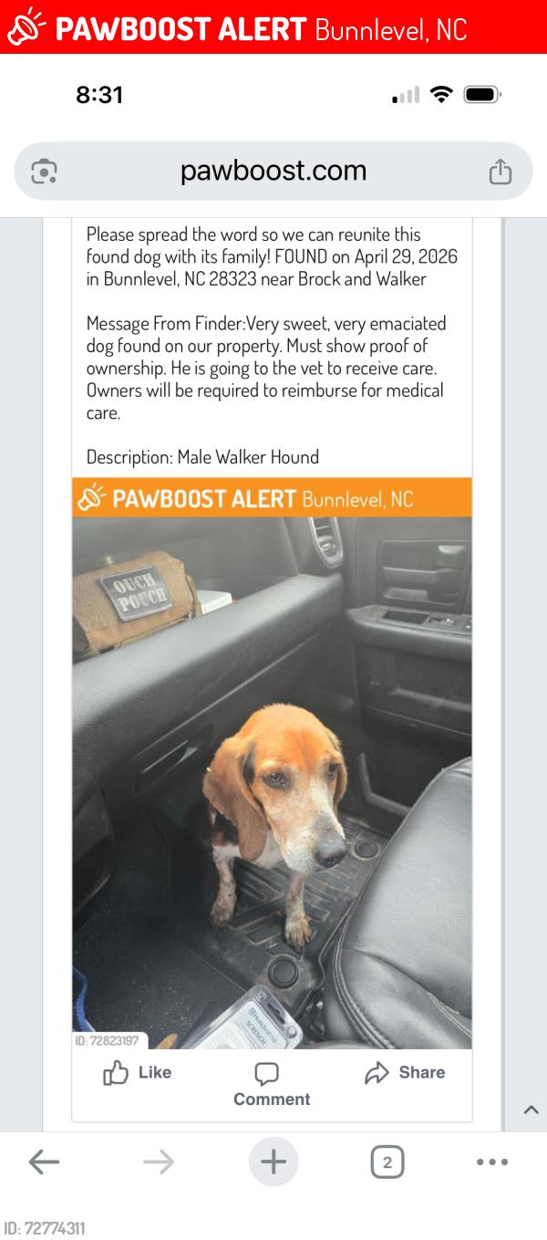 Lost Male Dog last seen Brock and walker, Bunnlevel, NC 28323