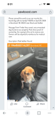 Lost Male Dog last seen Brock and walker, Bunnlevel, NC 28323