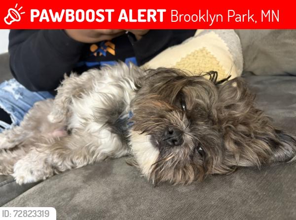 Lost Male Dog last seen Park Brook Elementary , Brooklyn Park, MN 55428