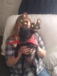 Lost Female Dog last seen melvin hill, Campobello, SC 29322