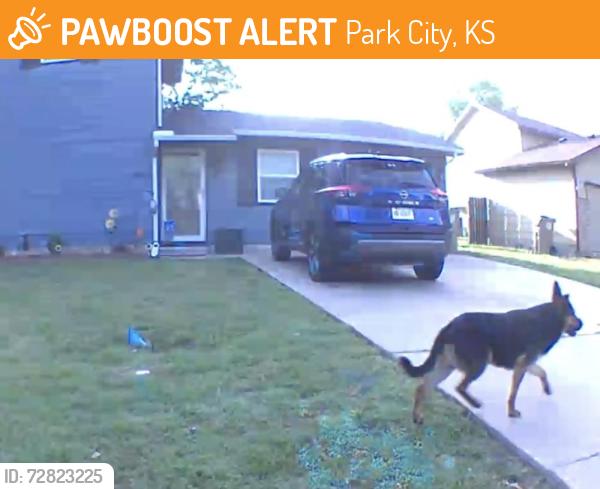 Found/Stray Unknown Dog last seen Ulysses & Gary, Park City, KS 67219