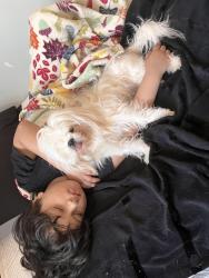 Reunited Female Dog last seen City of orange police station , City of Orange, NJ 07050