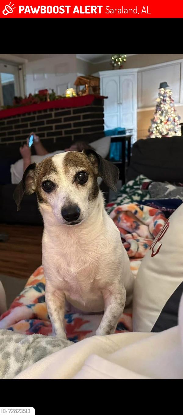 Lost Male Dog last seen Shelton Beach Rd near Shelton Beach Baptist, Saraland, AL 36571