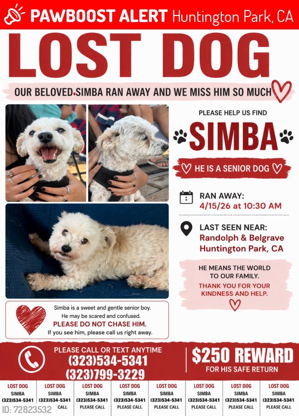 Lost Male Dog last seen Randolph and Belgrave, Huntington Park, CA 90255