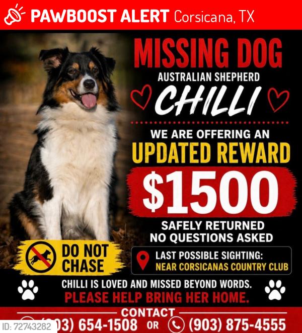 Lost Female Dog last seen Between Northwood and up to Hardy and Hickory Hollow, Corsicana, TX 75110