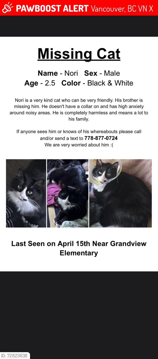 Lost Male Cat last seen E 5th ave and woodland drive, Vancouver, BC V5N 5X9