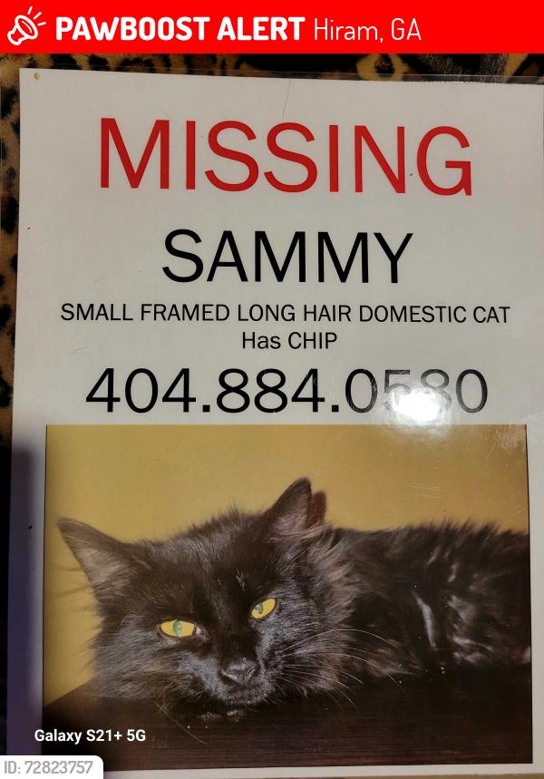 Lost Male Cat last seen Hiram way, Hiram, GA 30141