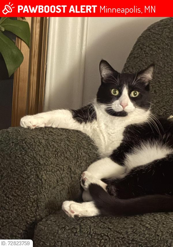 Lost Male Cat last seen Near and Aldrich, Minneapolis, MN 55408