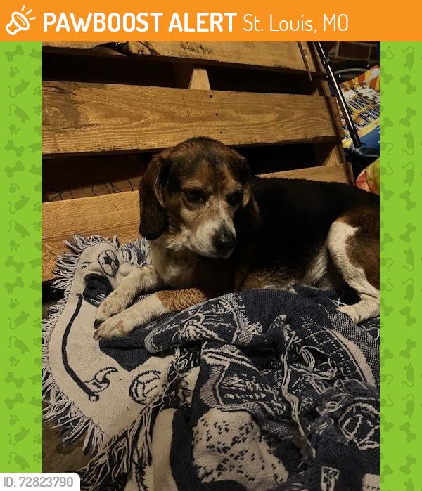 Found/Stray Male Dog last seen Bates St and Arendes, St. Louis, MO 63116