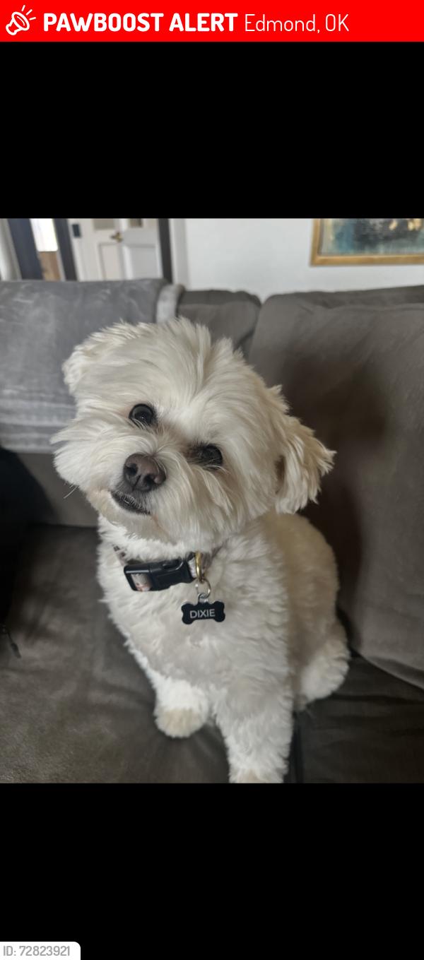 Lost Female Dog last seen Rose Creek Neighborhood, Edmond, OK 73012