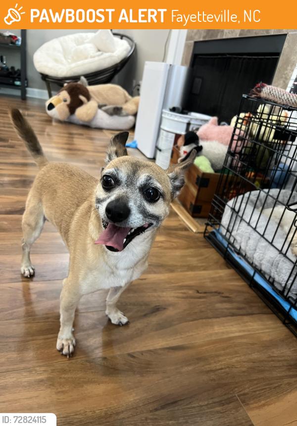 Found/Stray Male Dog last seen Telfair Dr., Fayetteville, NC 28303