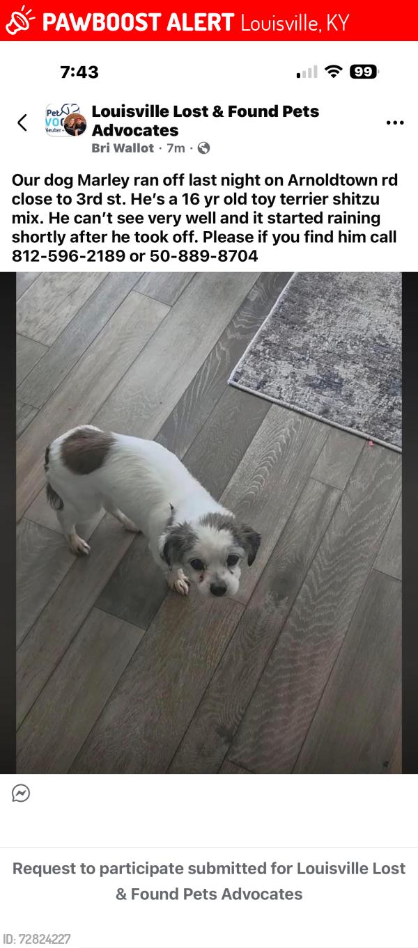 Lost Male Dog last seen Arnoldtown rd, Louisville, KY 40214