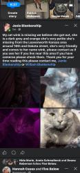 Reunited Female Cat last seen Daokat, Leavenworth, KS 66048