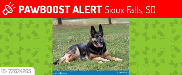 Lost Female Dog last seen 10TH STREET CLIFF AVENEUE, Sioux Falls, SD 57501