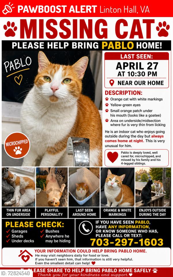Lost Male Cat last seen Darton woods loop, Linton Hall, VA 20136
