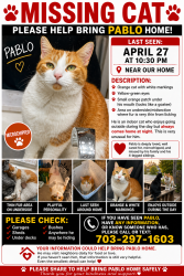 Lost Male Cat last seen Darton woods loop, Linton Hall, VA 20136