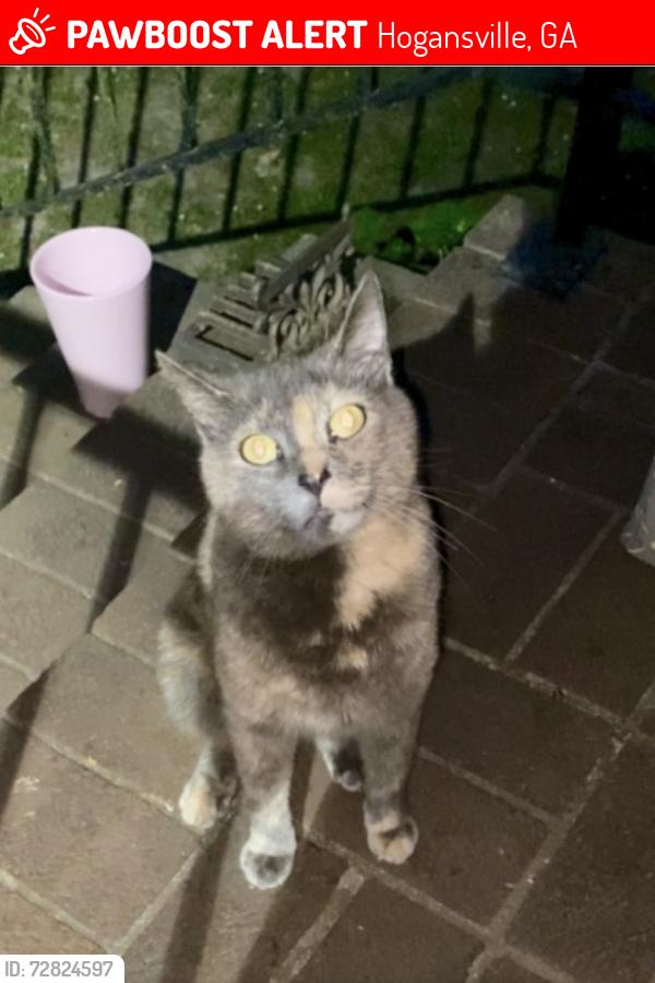 Lost Female Cat last seen Loves, Hogansville, GA 30230