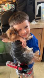Lost Female Dog last seen Off merchants Dr , Knoxville, TN 37912