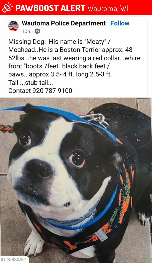 Lost Male Dog last seen Beechnut and deer ave, Wautoma, WI 54982