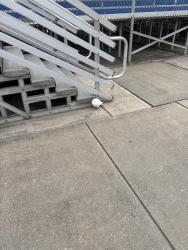 Found/Stray Unknown Bird last seen Sicklerville school, Winslow Township, NJ 08081