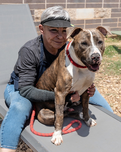 Shelter Stray Male Dog last seen Near Silver Hill Rd., 30087, GA, Atlanta, GA 30341