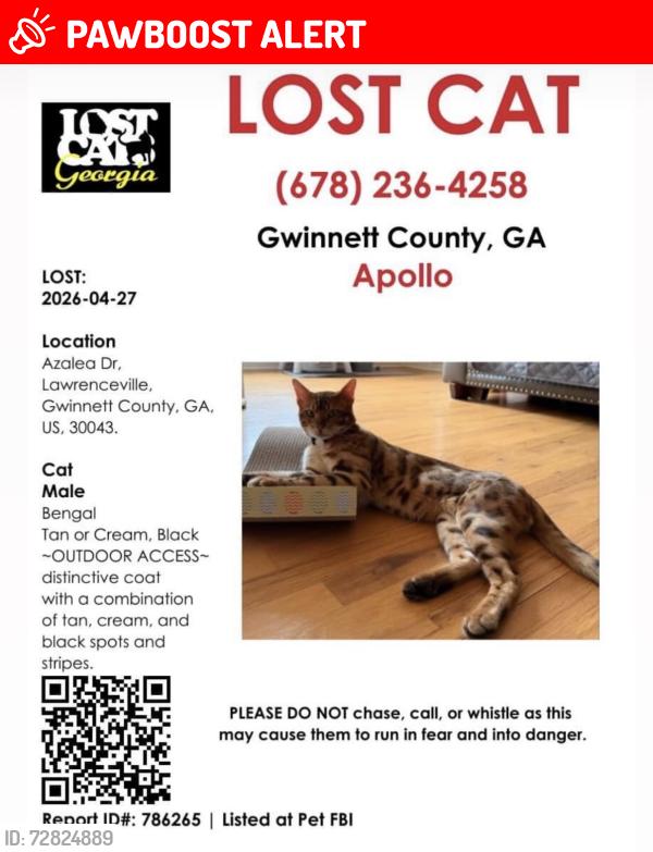 Lost Male Cat last seen Azalea Dr Lawrenceville , Gwinnett County, GA 30043