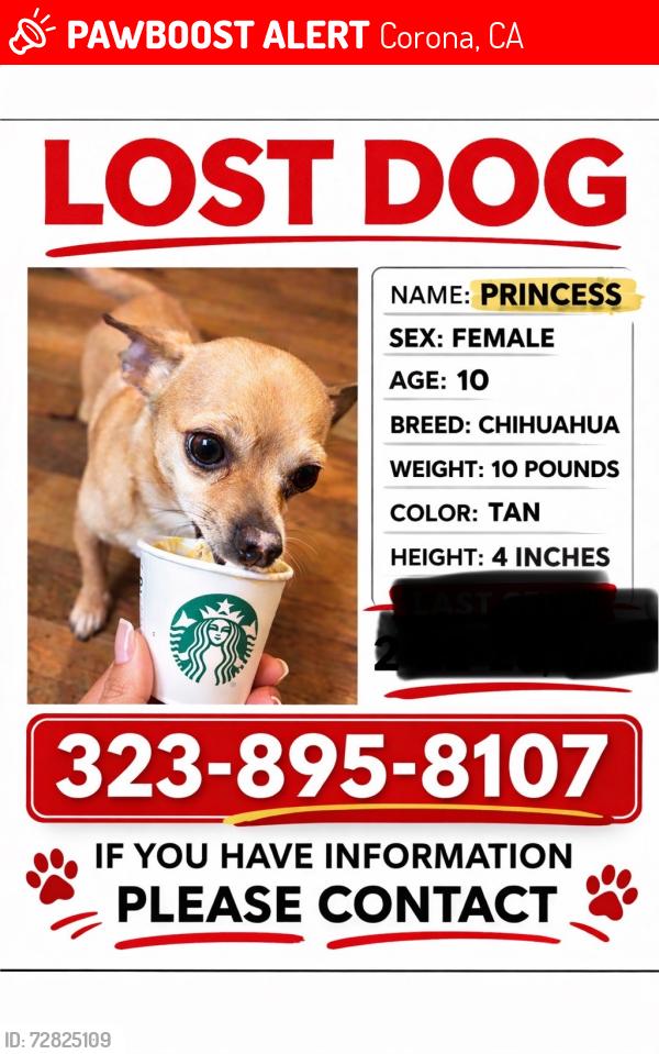 Lost Female Dog last seen Near Via Pacifica Corona 92882 , Corona, CA 92882