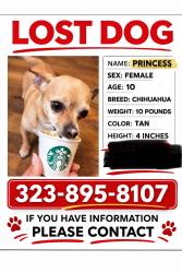 Lost Female Dog last seen Near Via Pacifica Corona 92882 , Corona, CA 92882