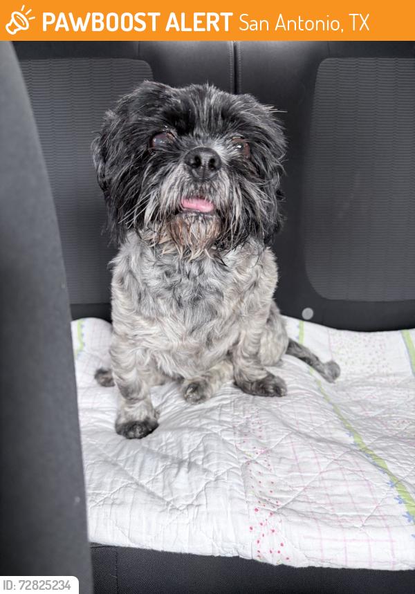 Found/Stray Unknown Dog last seen Tom slick park, San Antonio, TX 78227