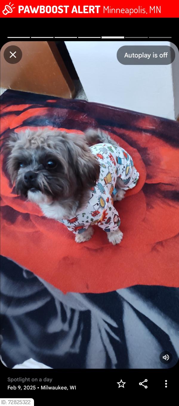 Lost Male Dog last seen Park, Brook Elementary school , Minneapolis, MN 55428