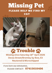 Lost Male Cat last seen Devas Street E3 , Greater London, England 