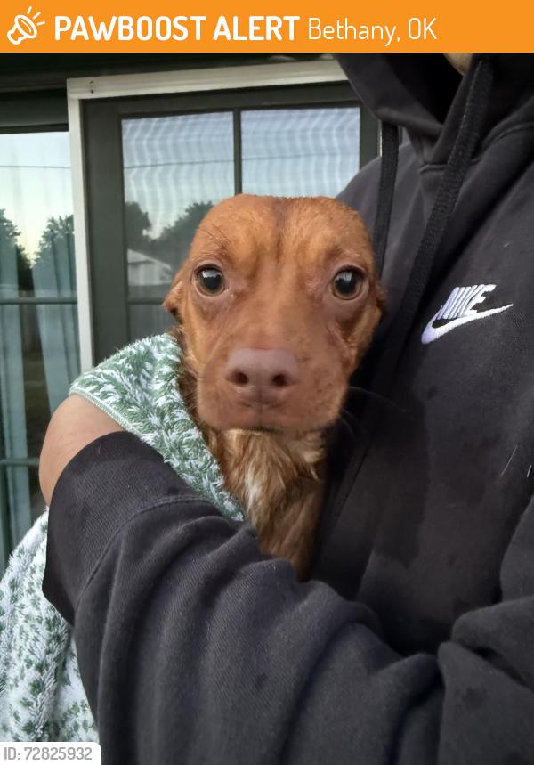 Found/Stray Male Dog last seen In front of like overholser, Bethany, OK 73008
