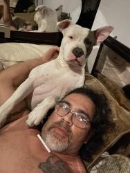 Lost Male Dog last seen Round about on 92 and 36, Miami, FL 33165
