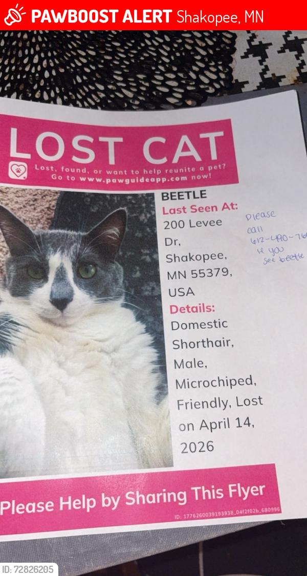 Lost Male Cat last seen yummy bites, Shakopee, MN 55379