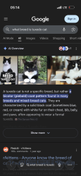 Lost Male Cat last seen Keeler Fullerton , Chicago, IL 60647