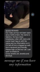 Lost Male Cat last seen Jewetta and Brimhall st, Bakersfield, CA 93312