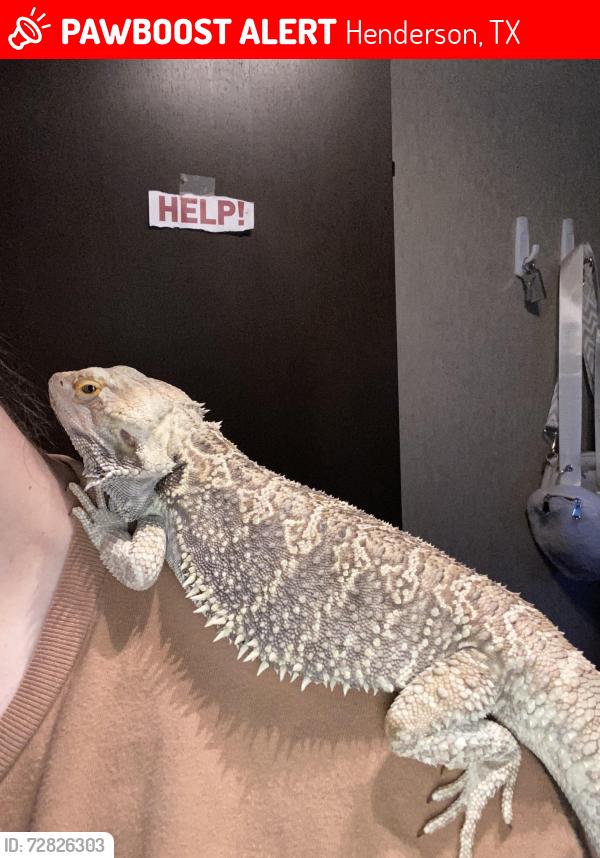 Lost Male Reptile last seen Buffalo Ridge RV Park, Henderson, TX 75652