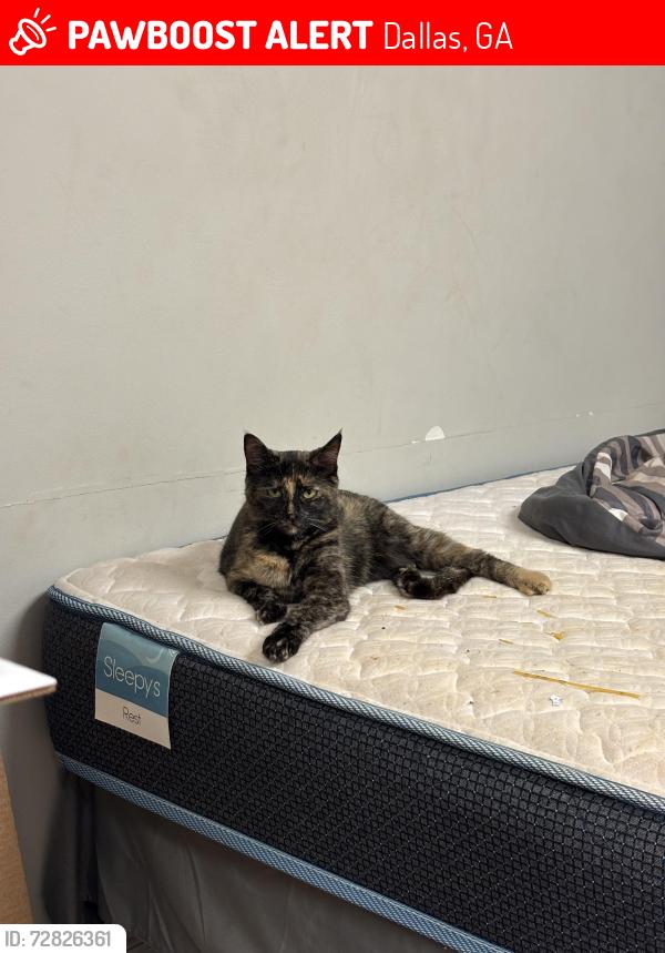 Lost Female Cat last seen Near shoals trail Dallas ga , Dallas, GA 30132