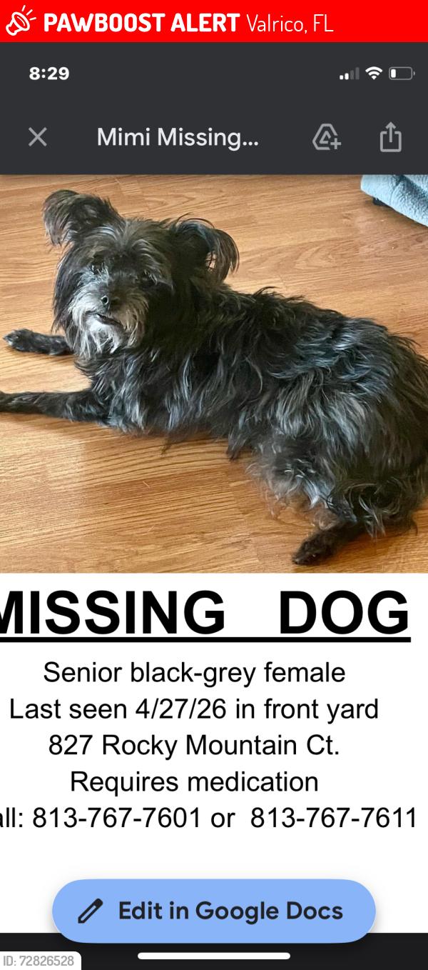 Lost Female Dog last seen Copper Ridge, Valrico, FL 33594