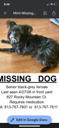 Lost Female Dog last seen Copper Ridge, Valrico, FL 33594