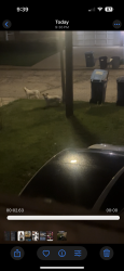 Lost Unknown Dog last seen Augusta st , Maywood, IL 60153
