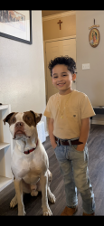 Lost Male Dog last seen E Houston Street and ww white, San Antonio, TX 78220