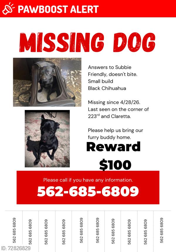 Lost Male Dog last seen 223rd and Claretta , Hawaiian Gardens, CA 90716