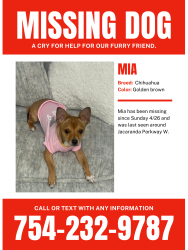 Lost Female Dog last seen Near th Pl jacaranda , Cape Coral, FL 33914
