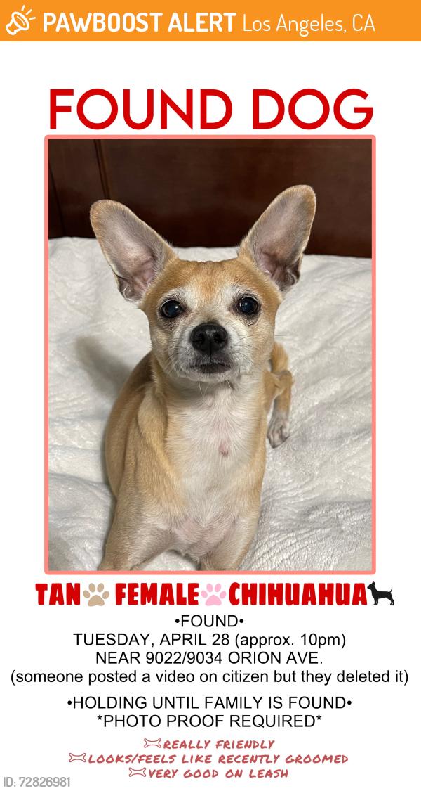 Found/Stray Female Dog last seen Nordhoff St and Orion Ave, Los Angeles, CA 91343