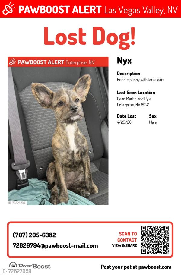 Lost Female Dog last seen Cactus Ave near exit 30, Las Vegas Valley, NV 89123