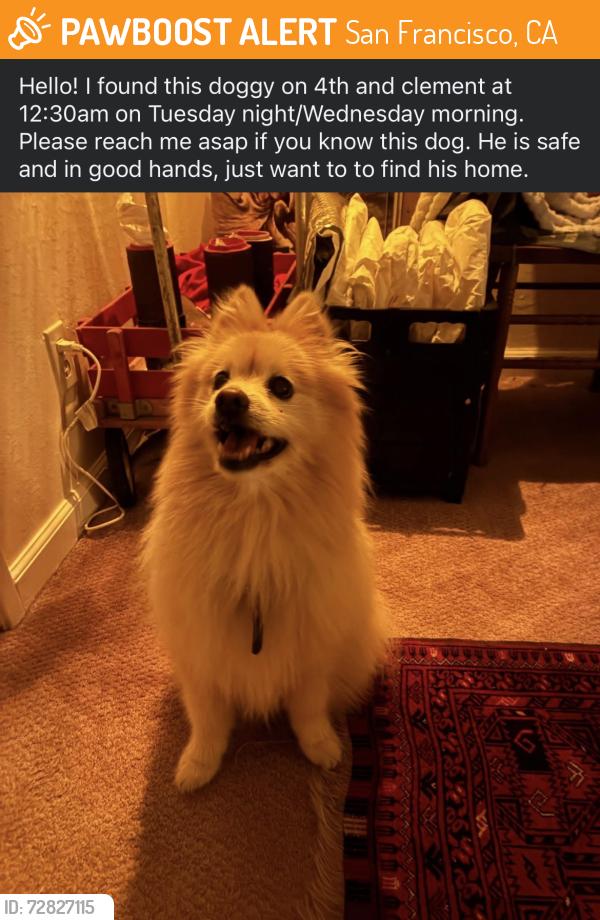 Found/Stray Male Dog last seen Genki Crepes , San Francisco, CA 94118