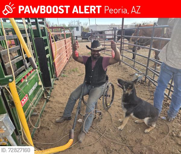 Lost Female Dog last seen In the river bottom by the farm!, Peoria, AZ 85383